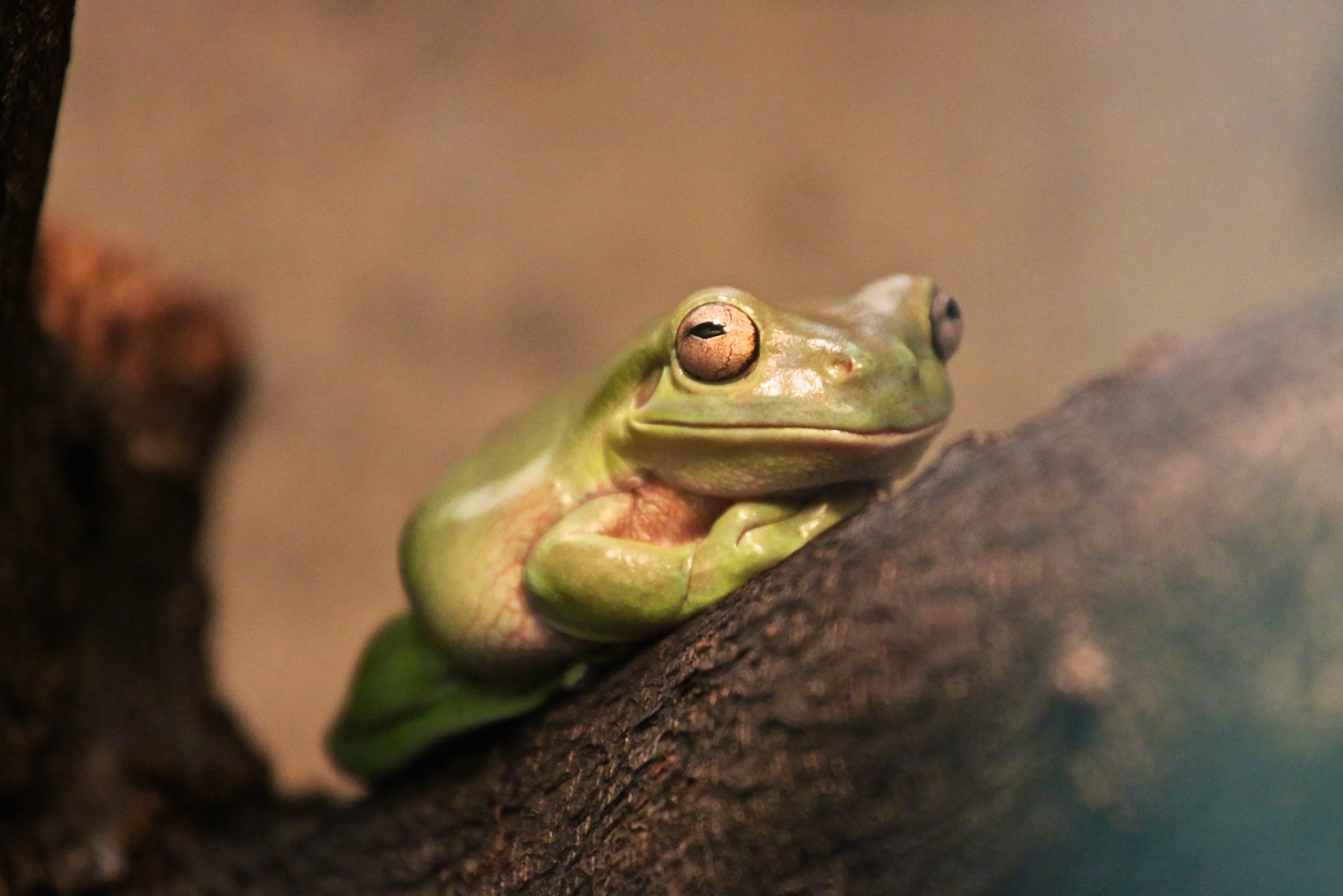 [23 jan] Post-Tyranny Tech #1: Digitaal onafhankelijk werken