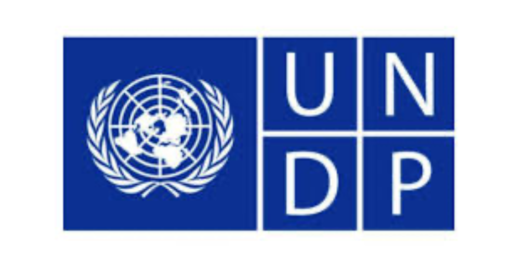 UNDP logo